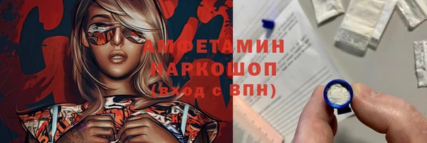 молекула духа Богородицк