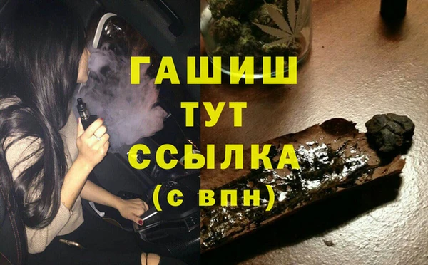 молекула духа Богородицк