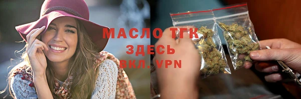 молекула духа Богородицк