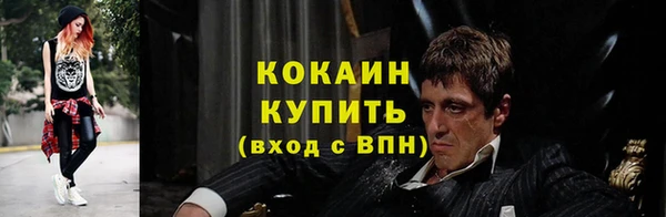 дживик Богданович