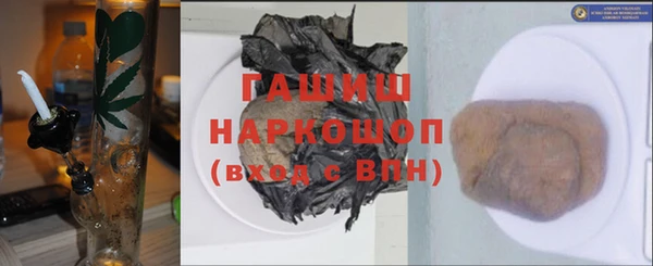 молекула духа Богородицк