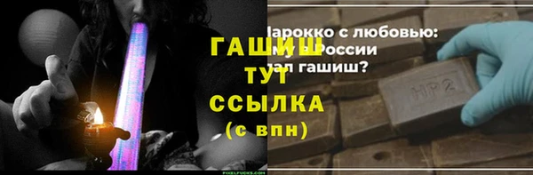 молекула духа Богородицк
