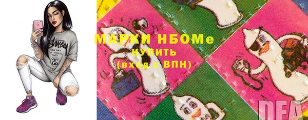 молекула духа Богородицк