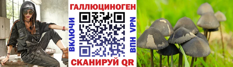Галлюциногенные грибы GOLDEN TEACHER купить наркоту Дорогобуж