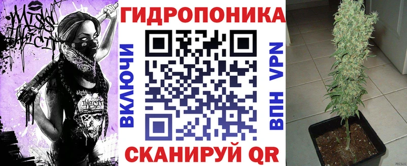 Шишки марихуана семена  купить наркотики сайты  МЕГА зеркало  Дорогобуж 